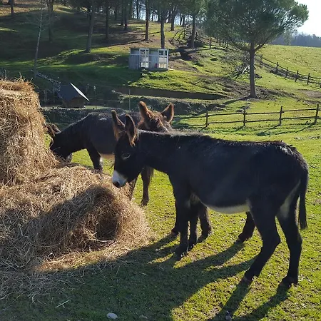 Farm stay Podere Montese