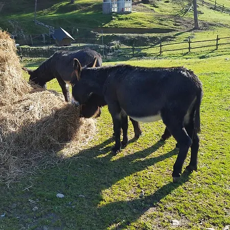 Farm stay Podere Montese