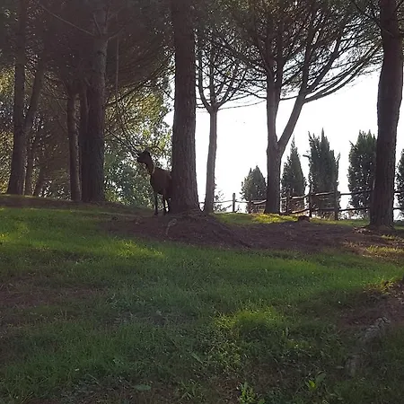 Podere Montese Villafranca in Lunigiana