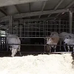 Podere Montese Villafranca in Lunigiana