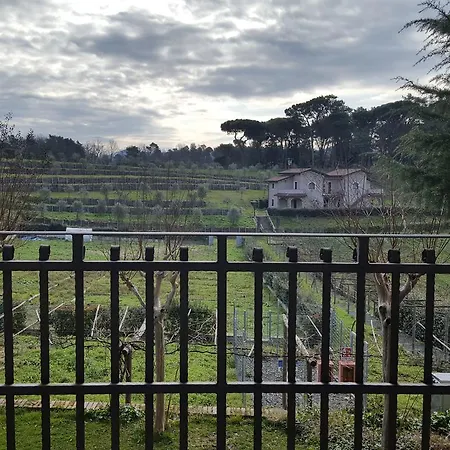 Podere Montese *