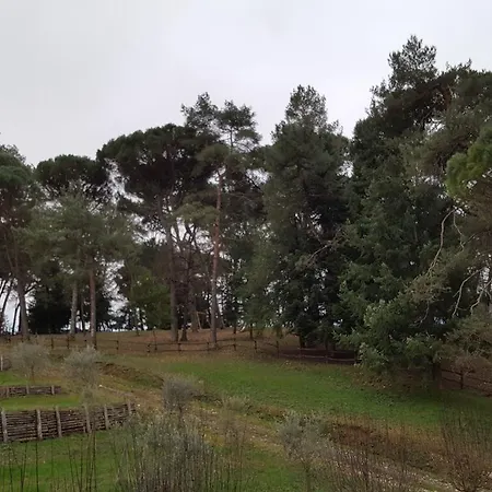 Podere Montese Villafranca in Lunigiana