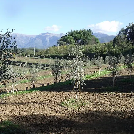 Podere Montese Villafranca in Lunigiana